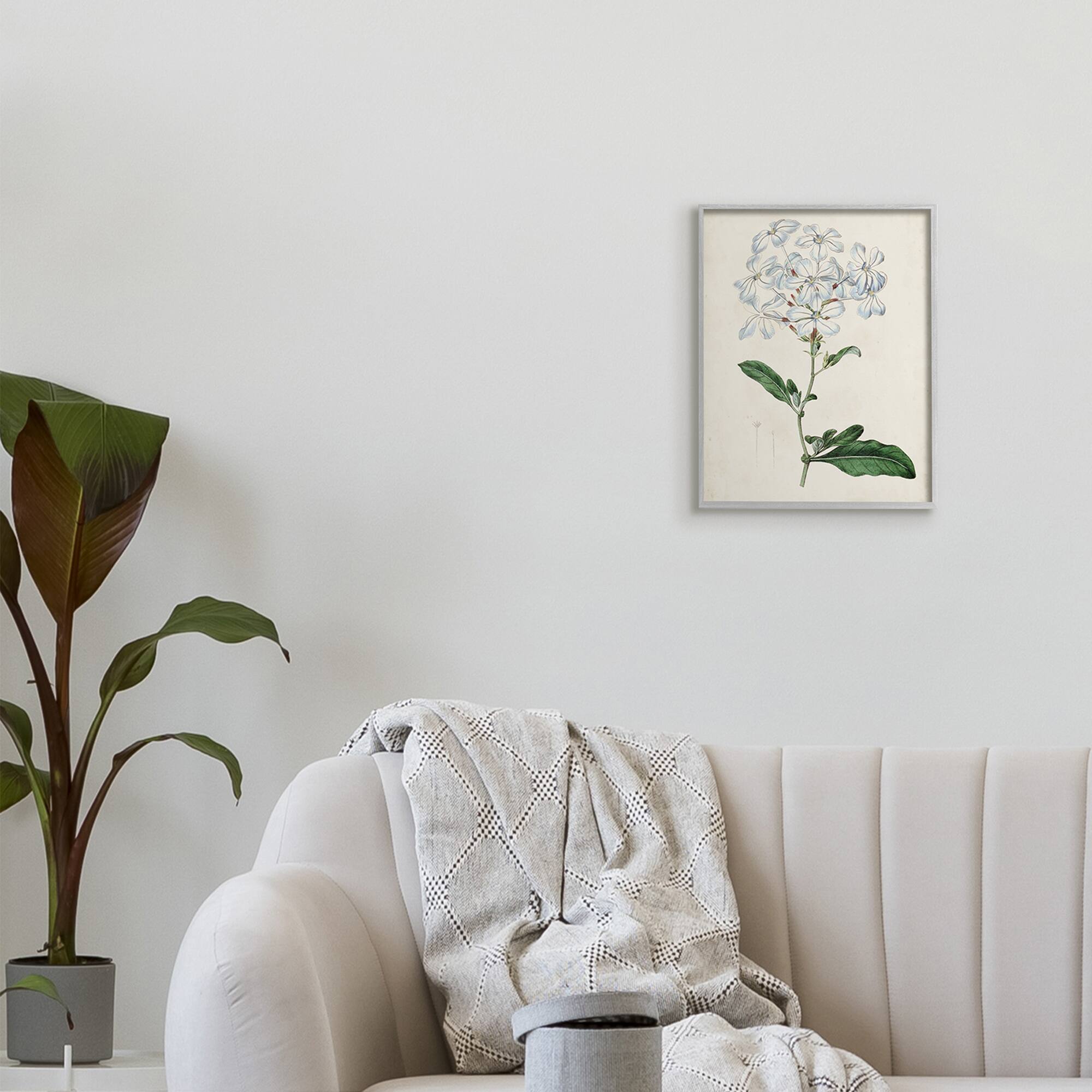 Stupell Industries Rustic Garden Floral Study Charming White Blossoms in Gray Frame Wall Art